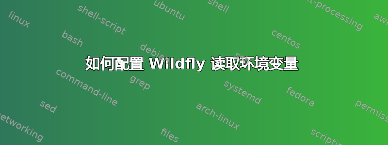 如何配置 Wildfly 读取环境变量