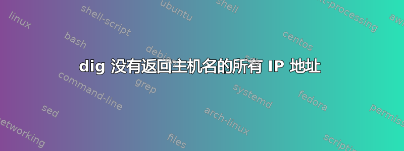 dig 没有返回主机名的所有 IP 地址