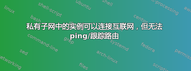 私有子网中的实例可以连接互联网，但无法 ping/跟踪路由