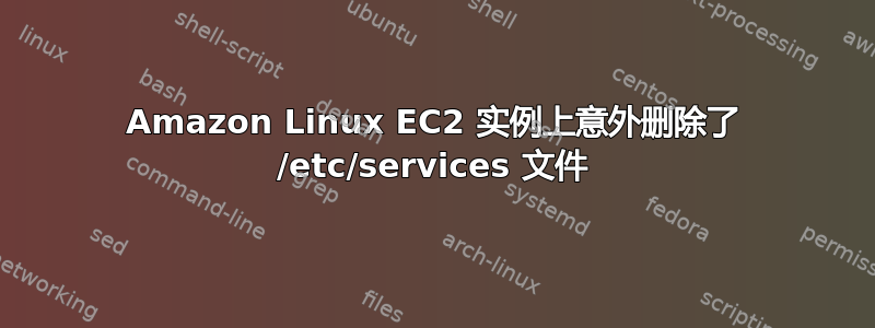 Amazon Linux EC2 实例上意外删除了 /etc/services 文件