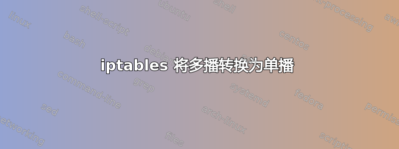 iptables 将多播转换为单播