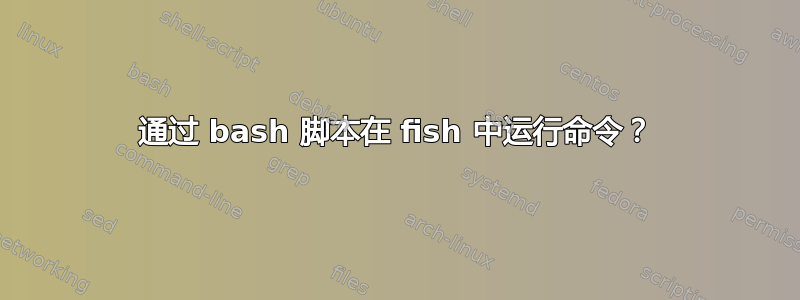 通过 bash 脚本在 fish 中运行命令？