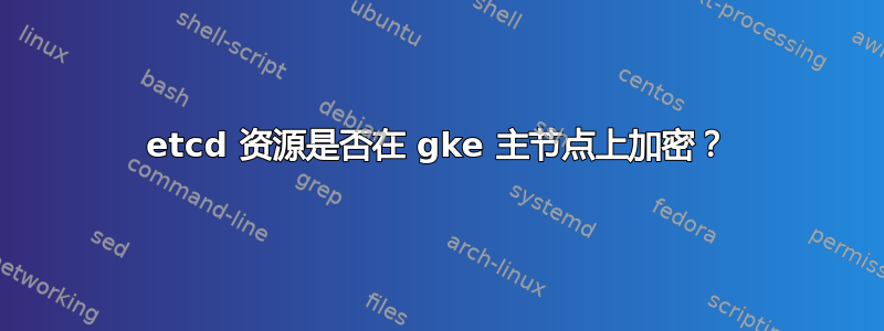 etcd 资源是否在 gke 主节点上加密？