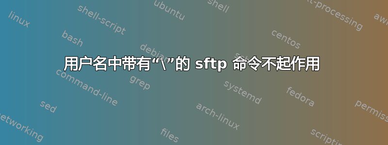 用户名中带有“\”的 sftp 命令不起作用