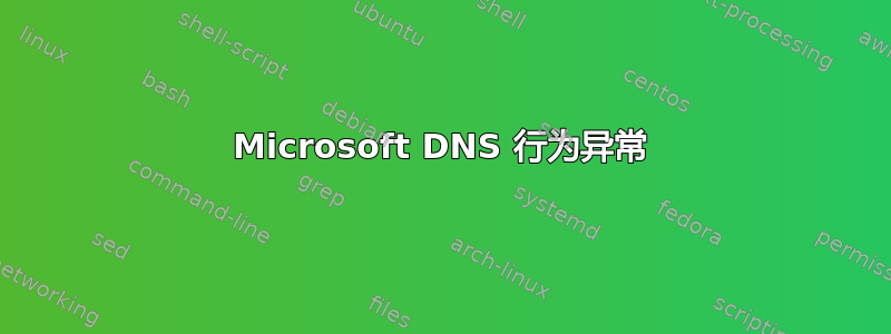 Microsoft DNS 行为异常