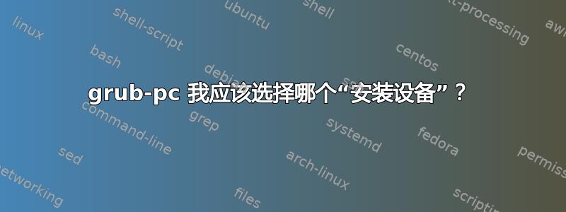 grub-pc 我应该选择哪个“安装设备”？