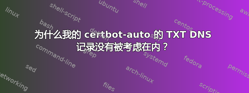 为什么我的 certbot-auto 的 TXT DNS 记录没有被考虑在内？