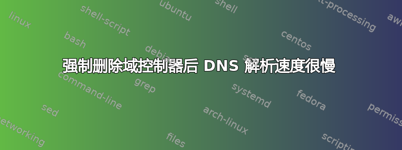 强制删除域控制器后 DNS 解析速度很慢