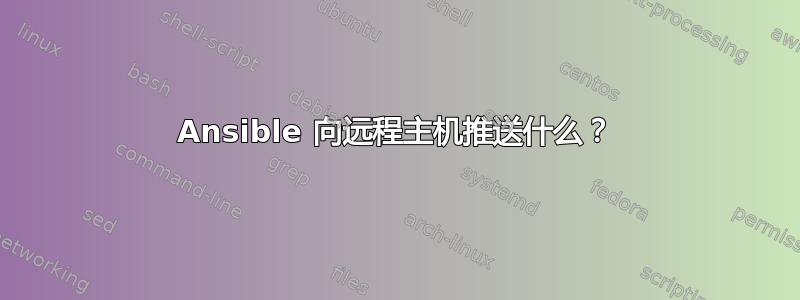 Ansible 向远程主机推送什么？