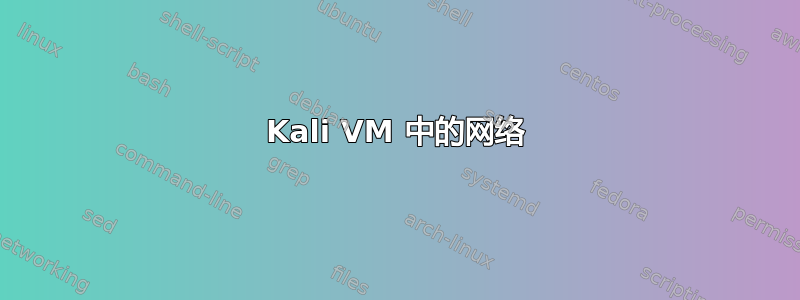 Kali VM 中的网络