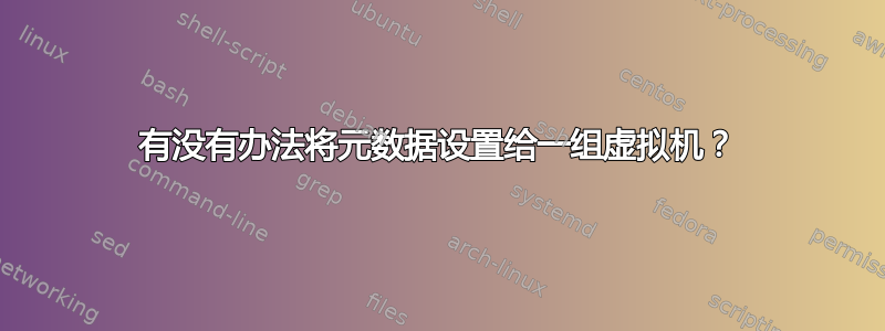 有没有办法将元数据设置给一组虚拟机？