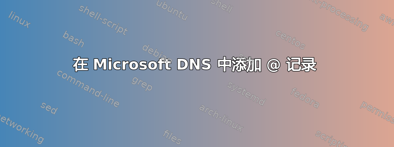 在 Microsoft DNS 中添加 @ 记录