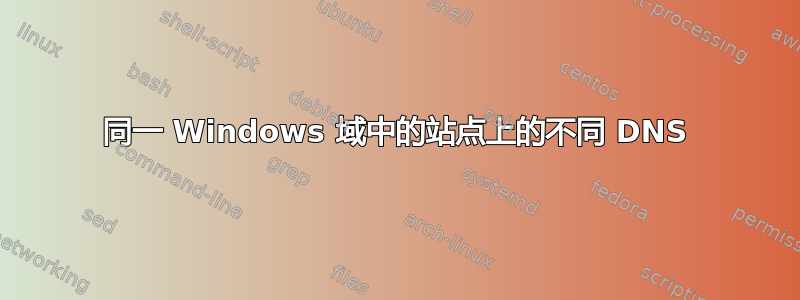 同一 Windows 域中的站点上的不同 DNS