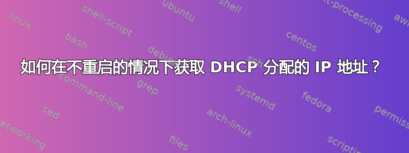 如何在不重启的情况下获取 DHCP 分配的 IP 地址？