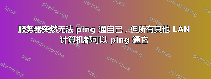 服务器突然无法 ping 通自己，但所有其他 LAN 计算机都可以 ping 通它