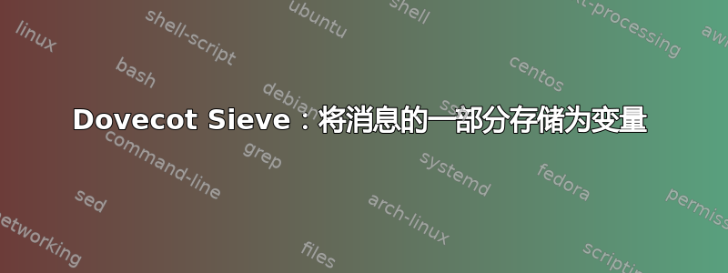 Dovecot Sieve：将消息的一部分存储为变量