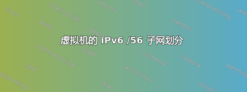 虚拟机的 IPv6 /56 子网划分