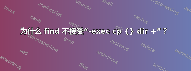 为什么 find 不接受“-exec cp {} dir +”？