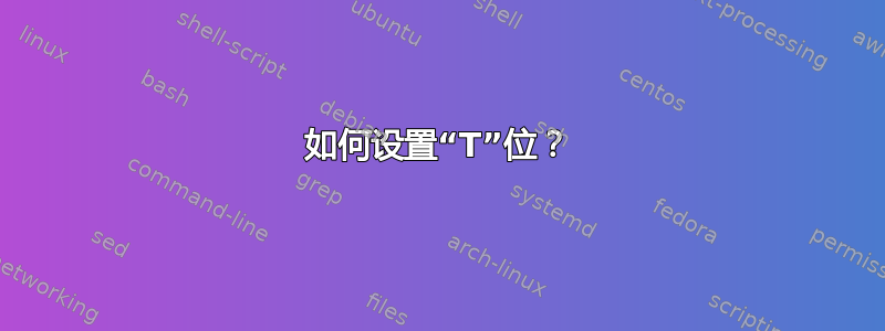 如何设置“T”位？