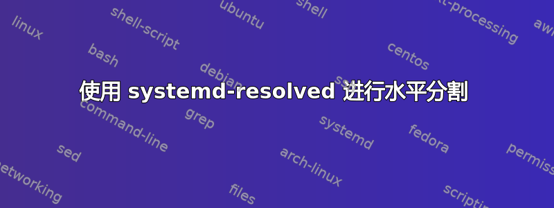 使用 systemd-resolved 进行水平分割