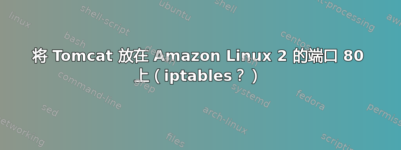 将 Tomcat 放在 Amazon Linux 2 的端口 80 上（iptables？）