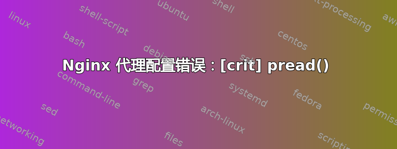 Nginx 代理配置错误：[crit] pread()