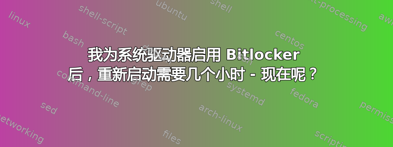 我为系统驱动器启用 Bitlocker 后，重新启动需要几个小时 - 现在呢？