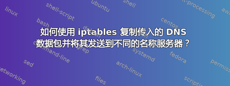 如何使用 iptables 复制传入的 DNS 数据包并将其发送到不同的名称服务器？