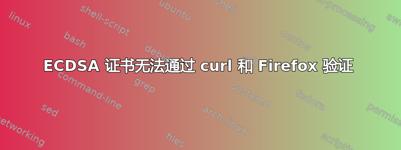 ECDSA 证书无法通过 curl 和 Firefox 验证