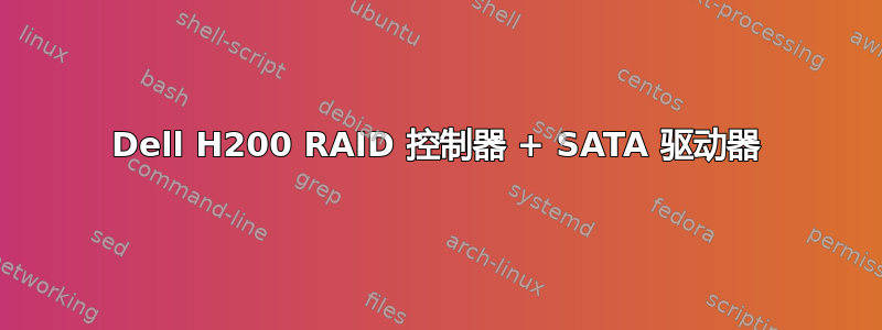 Dell H200 RAID 控制器 + SATA 驱动器