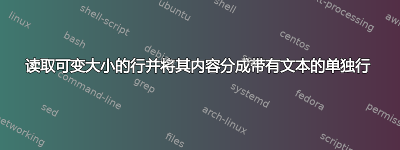 读取可变大小的行并将其内容分成带有文本的单独行