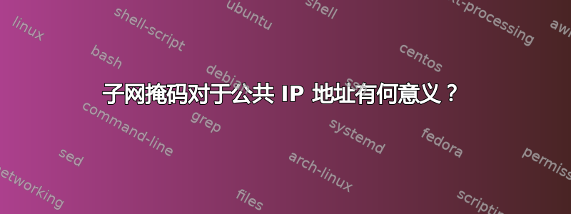 子网掩码对于公共 IP 地址有何意义？