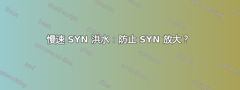 慢速 SYN 洪水：防止 SYN 放大？