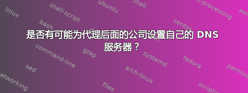 是否有可能为代理后面的公司设置自己的 DNS 服务器？