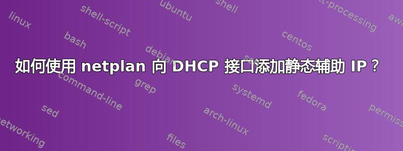 如何使用 netplan 向 DHCP 接口添加静态辅助 IP？