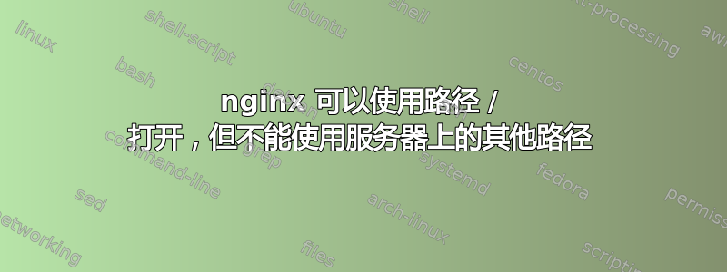 nginx 可以使用路径 / 打开，但不能使用服务器上的其他路径