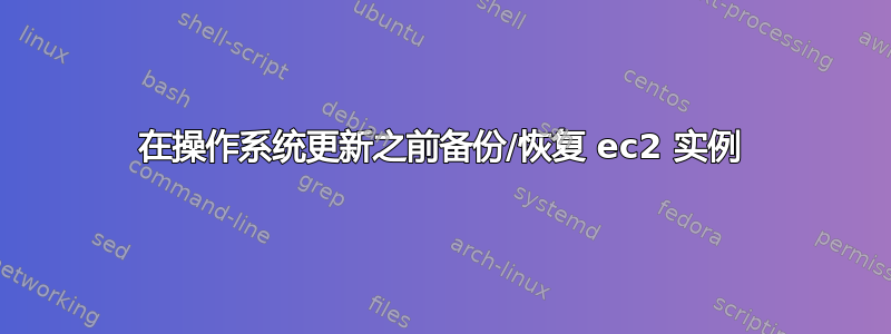 在操作系统更新之前备份/恢复 ec2 实例