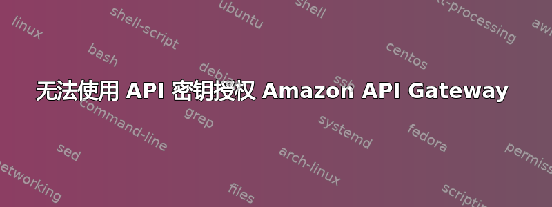 无法使用 API 密钥授权 Amazon API Gateway