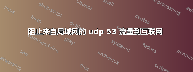 阻止来自局域网的 udp 53 流量到互联网