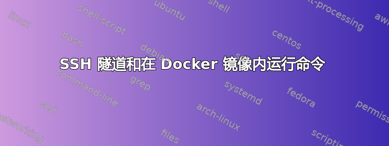 SSH 隧道和在 Docker 镜像内运行命令