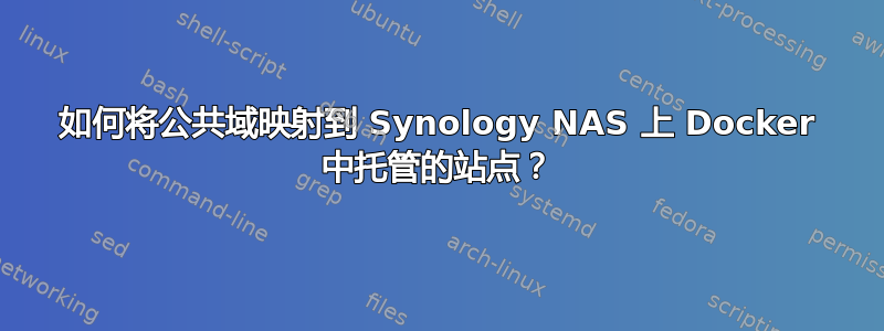 如何将公共域映射到 Synology NAS 上 Docker 中托管的站点？