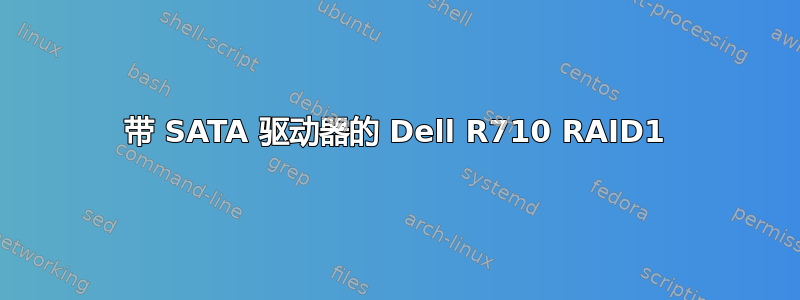 带 SATA 驱动器的 Dell R710 RAID1