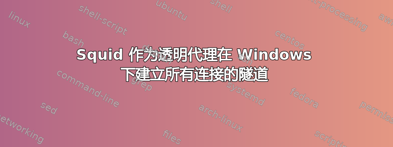 Squid 作为透明代理在 Windows 下建立所有连接的隧道