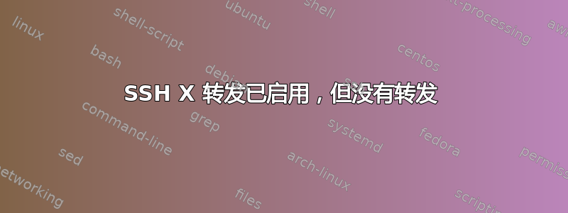 SSH X 转发已启用，但没有转发