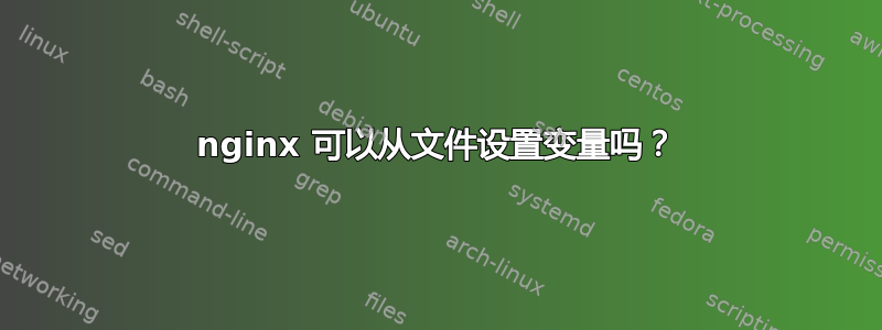 nginx 可以从文件设置变量吗？