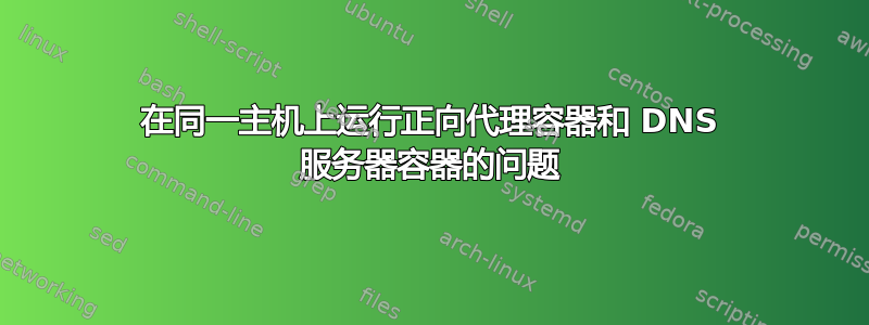 在同一主机上运行正向代理容器和 DNS 服务器容器的问题