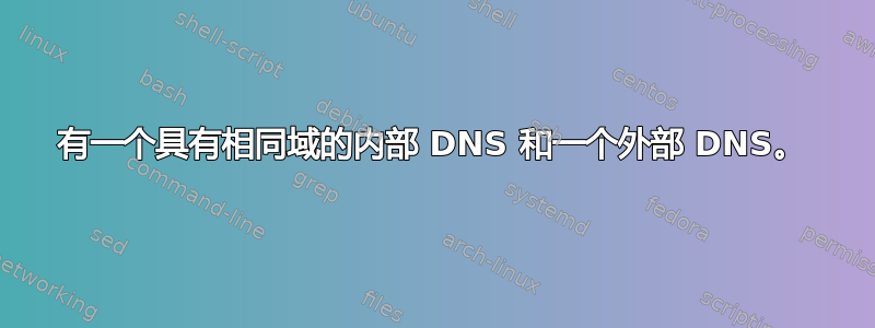 有一个具有相同域的内部 DNS 和一个外部 DNS。