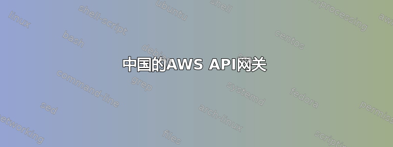 中国的AWS API网关