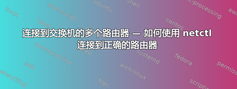 连接到交换机的多个路由器 — 如何使用 netctl 连接到正确的路由器