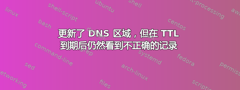 更新了 DNS 区域，但在 TTL 到期后仍然看到不正确的记录